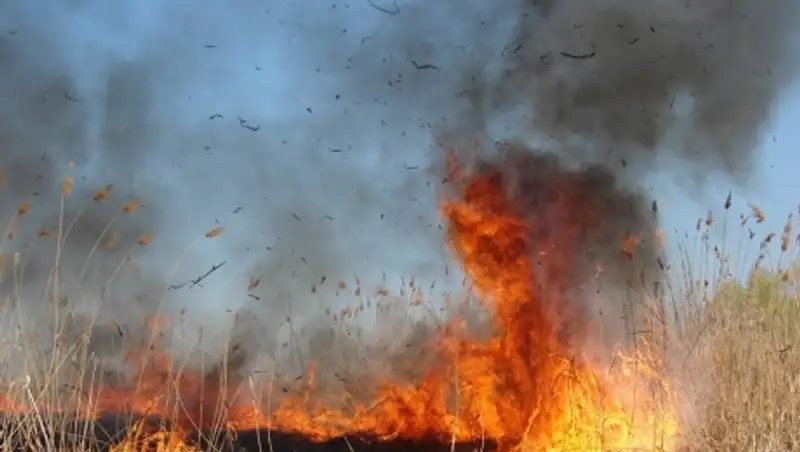Тараз неожиданно накрыло черным пеплом