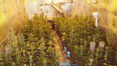 Zakon.kz, фото - Новости Zakon.kz от 11.02.2015 23:18