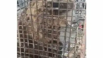 скриншот, фото - Новости Zakon.kz от 08.03.2021 01:17