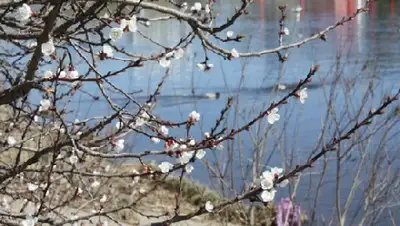 Zakon.kz, фото - Новости Zakon.kz от 11.04.2016 12:00