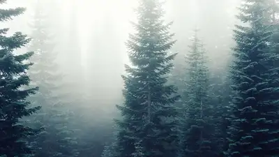 неблагоприятные погодные условия, фото - Новости Zakon.kz от 05.10.2023 19:39