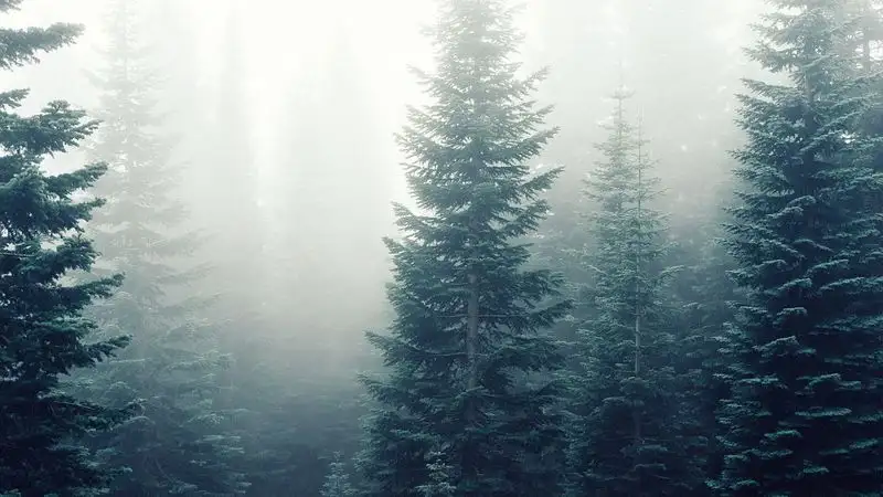 В Казахстане ожидается резкая смена погоды и неблагоприятные метеоусловия