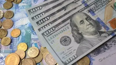 krisha.kz, фото - Новости Zakon.kz от 07.06.2018 16:15