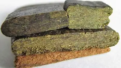 Zakon.kz, фото - Новости Zakon.kz от 07.04.2016 21:23