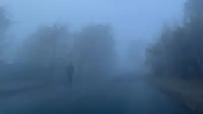 Туман накроет Алматы 