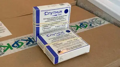 нур-султан, спутник лайт, партия, фото - Новости Zakon.kz от 21.01.2022 15:34