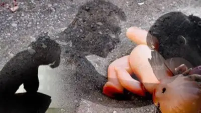 Zakon.kz, фото - Новости Zakon.kz от 07.10.2016 02:33