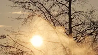 штормовое предупреждение, фото - Новости Zakon.kz от 17.01.2023 20:32