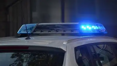 pixabay, фото - Новости Zakon.kz от 11.09.2021 07:11