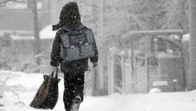 Zakon.kz, фото - Новости Zakon.kz от 23.01.2017 13:30