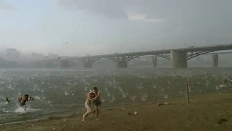 Снимок, сделанный сибиряком на телефон, вошел в десятку лучших фото года