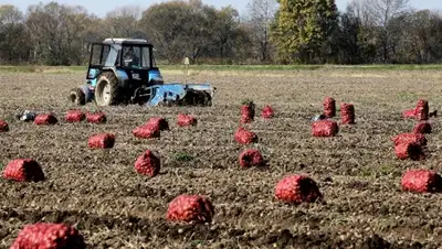 Zakon.kz, фото - Новости Zakon.kz от 30.09.2015 17:41