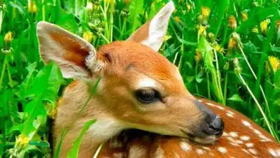 gomel.today, фото - Новости Zakon.kz от 27.06.2021 21:02