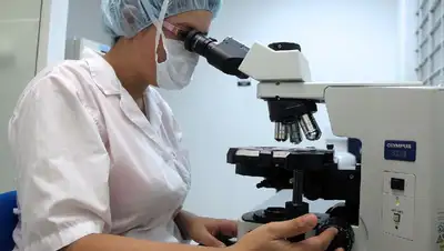 исследование, фото - Новости Zakon.kz от 07.06.2022 23:44