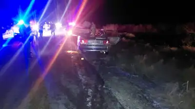 В результате наезда на верблюда на трассе погиб человек, фото - Новости Zakon.kz от 17.12.2022 11:27