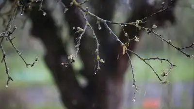 Zakon.kz, фото - Новости Zakon.kz от 12.04.2016 12:02