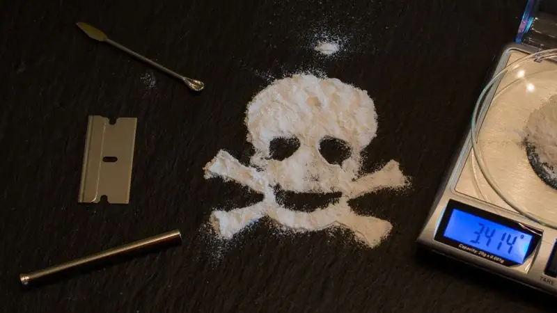 Почти 73 тонны запрещенных веществ изъяли у членов международной ОПГ в Алматы