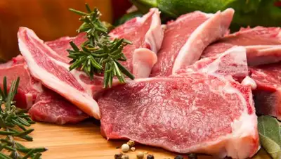 Zakon.kz, фото - Новости Zakon.kz от 27.07.2017 20:23