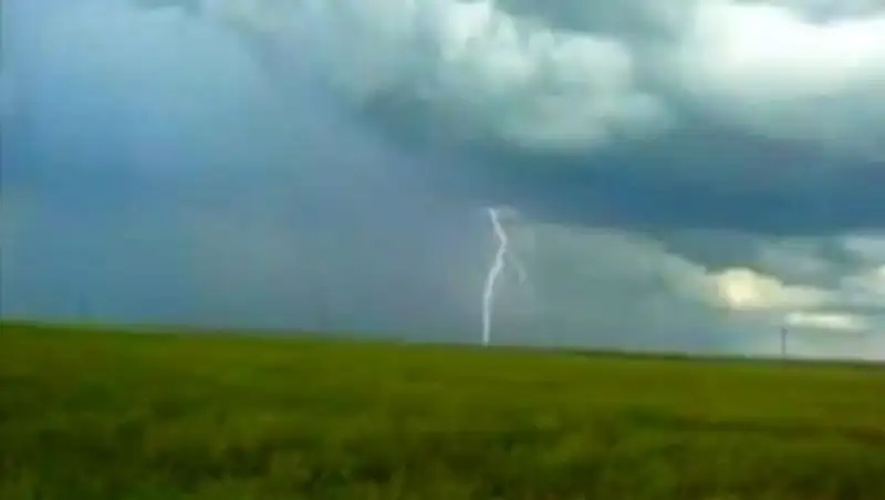 Редкий случай: Пастух выжил после удара молнии в Акмолинской области