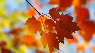 Zakon.kz, фото - Новости Zakon.kz от 01.09.2015 12:29