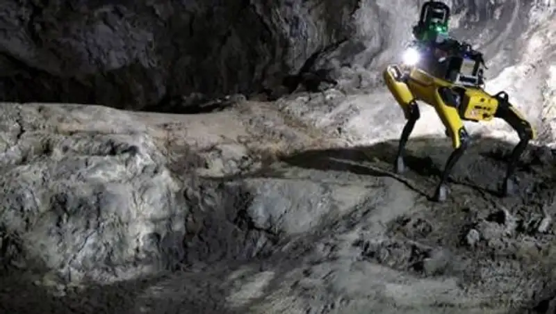 На Марс хотят отправить робота-собаку