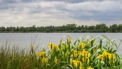 pixnio.com, фото - Новости Zakon.kz от 10.08.2020 12:49