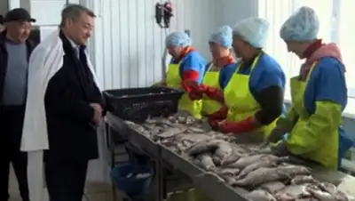 Zakon.kz, фото - Новости Zakon.kz от 29.03.2016 15:23