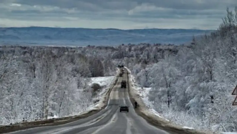 Дорогу «Ушарал-Достык» закрыли из-за бурана  