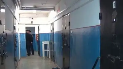 rikatv, фото - Новости Zakon.kz от 03.05.2018 01:20