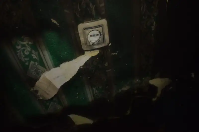 , фото - Новости Zakon.kz от 09.11.2021 01:31