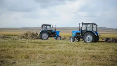 Казахстанских фермеров освободят от оцифровки "карты полей" и внесения севооборота