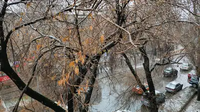 Прогноз погоды на три дня в мегаполисах Казахстана, фото - Новости Zakon.kz от 30.04.2023 09:43