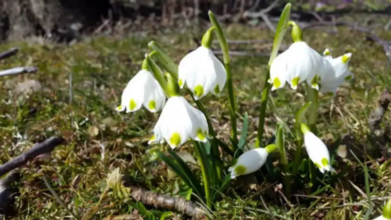 Неустойчивый характер погоды сохранится в Казахстане в среду