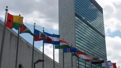 википедиа, фото - Новости Zakon.kz от 13.03.2020 06:43