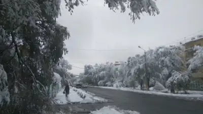 Zakon.kz, фото - Новости Zakon.kz от 17.10.2016 22:48