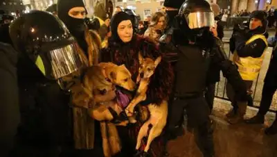 informpskov.ru, медуза, подъем, фото - Новости Zakon.kz от 03.02.2021 11:41