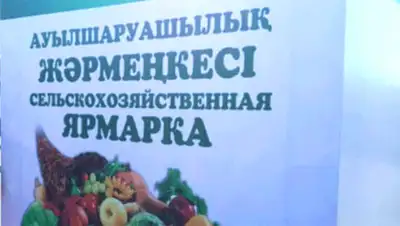 Zakon.kz, фото - Новости Zakon.kz от 03.10.2014 23:02