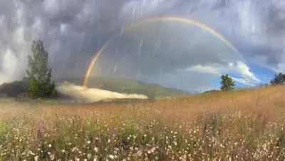 Zakon.kz, фото - Новости Zakon.kz от 14.07.2017 21:51
