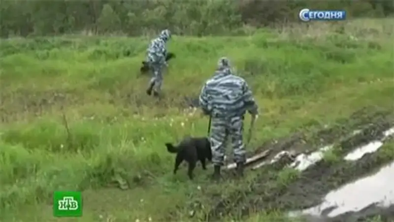 Страшная смерть в удмуртском лесу: пропавшие мальчик и девочка были задушены