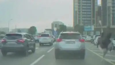 Zakon.kz, фото - Новости Zakon.kz от 02.09.2016 16:08