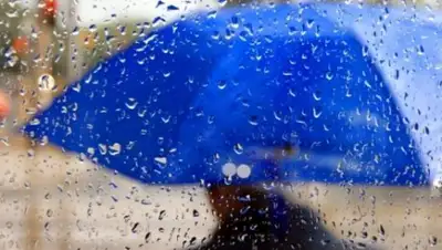 BNews.kz, фото - Новости Zakon.kz от 07.05.2018 09:30