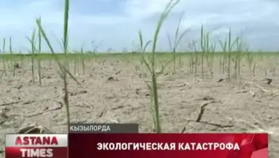 кадр из видео, фото - Новости Zakon.kz от 10.06.2021 02:09