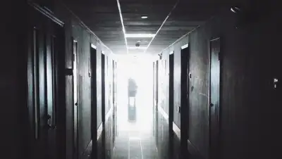 Pixabay, фото - Новости Zakon.kz от 12.12.2019 00:29