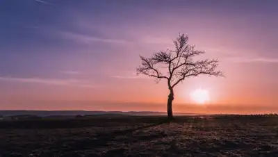 funart.pro, фото - Новости Zakon.kz от 15.06.2021 09:24