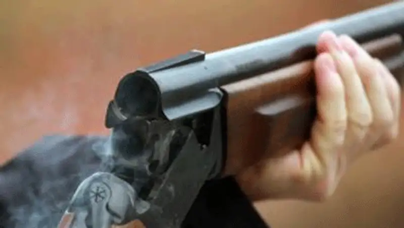 В ВКО пастух расстрелял своего собутыльника и забыл об этом, фото - Новости Zakon.kz от 23.11.2013 17:59