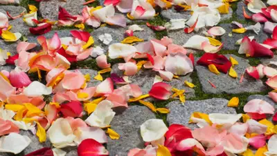 pxhere.com, фото - Новости Zakon.kz от 05.08.2019 09:23