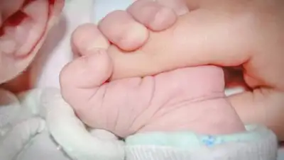 Pixabay, фото - Новости Zakon.kz от 17.08.2021 13:53