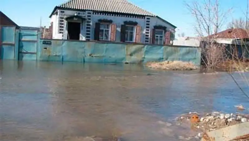 Грунтовые воды подтапливают село Беткайнар в Жамбылской области 