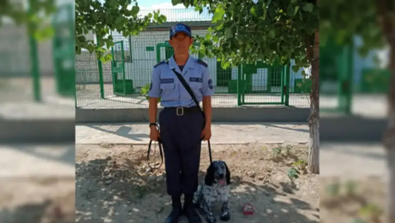 Наркосбытчик с крупной партией марихуаны задержан с помощью собаки в Жанаозене