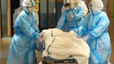 kokshetau.asia, фото - Новости Zakon.kz от 30.03.2020 20:07